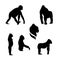 Gorilla monkey vector silhouettes