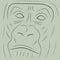 Gorilla sketch or icon