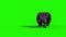 Gorilla Walks Back Green Screen 3D Rendering Animation