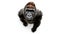 a gorilla on white background is looking up