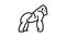 gorilla wild animal line icon animation