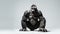 Gorillas on white background, they are herbivorous, predominantly ground-dwelling great apes
