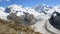 Gornergrat Summith. Glacier View And Wild Flowers