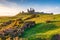 Gorse at Dunstanburgh Castle