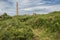 Through the Gorse to the Arsenic works at Botallack