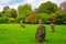 Gorsedd Stone Circle at Bute park in Cardiff, UK