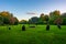 Gorsedd Stone Circle at Bute park in Cardiff, UK