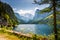 Gosausee lake and tree with Dachstein behind