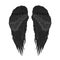 Gothic black angel wings