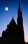 Gothic cathedral moon night