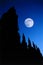 Gothic cathedral moon night