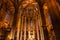 Gothic Catholic Barcelona Cathedral Basilica Catalonia Spain