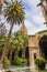 Gothic Catholic Church and tropical palm trees