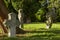 Gothic cross and tomb in cemetery at Saint-Hubert church, Aubel