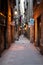 The Gothic Quarter of Barcelona, Spain, offers a fascinating glimpse into the city\'s past,