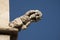 Gothic stone gargoyle in Valencia