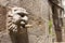 Gothic stone head of Fontain of the Church in Solsona, Lleida,Catalonia, Spain