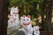 Gotokuji, the famous cat shrine in tokyo, which the beckoning cat is its mascot