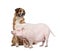 Gottingen minipig and dog against white background