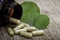 Gotu kola leaf powder capsule