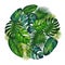 Gouache circle postcard with tropic leaves 2. Clipart for art work and weddind design