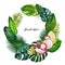 Gouache circle wreath with tropic leaves and fruits. Clipart for art work and weddind design