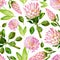 Gouache floral pink seamless pattern with Protea and Chrysanthemum