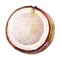 Gouache half of the coconut. Hand-drawn clipart for art work and weddind design
