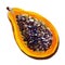 Gouache half of the papaya. Hand-drawn clipart for art work and weddind design