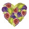 Gouache heart shaped figs. Clipart for art work and weddind design.