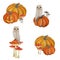 Gouache magic set with pumpkin, fly agaric and owl