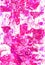 Gouache pink  odd  background, colored  image for print and web, for different design