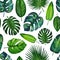 Gouache seamless pattern with tropic leaves. Pattern 2. Hand-drawn clipart for art work and weddind design.