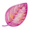 Gouache tropic pink leaf. Leaf 2. Hand-drawn clipart for art work and weddind design