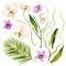 Gouache tropical set with lilac and white orchids, stems and leaves