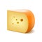 Gouda cheese on white vector