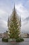 Gouda town hall and christmas tree