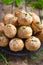 Gougeres. Traditional french cheese choux bun