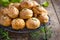 Gougeres. Traditional french cheese choux bun