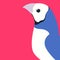 Gouldian finch vector illustration flat style profile