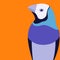 Gouldian finch vector illustration flat style profile