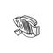 gourami fish isometric icon vector illustration