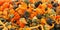 Gourds pumpkins squash fall colorful background