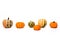 Gourds and Pumpkins on White Background