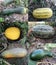 Gourds & Zucchinis