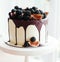 A gourmet cake drenched in chocolate and garnished with blackberries and figs. Holiday sweets.