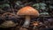 Gourmet edible toadstool growth in forest meadow generated by AI