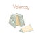 Gourmet French Valencay cheese with blue moldy rind. Cut piece of delicious soft chees with mold. Colored flat vector