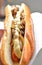 Gourmet grilled hot dog from Mangalica pigs