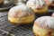 Gourmet Homemade Polish Paczki Donuts